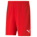 Puma RISE Team Shorts