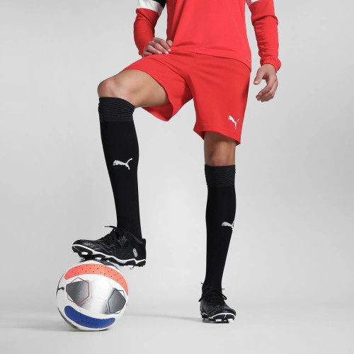 Puma RISE Team Shorts