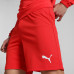 Puma RISE Team Shorts