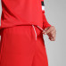 Puma RISE Team Shorts