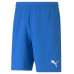 Puma RISE Team Shorts