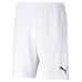 Puma RISE Team Shorts