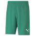 Puma RISE Team Shorts