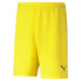 Puma RISE Team Shorts
