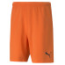 Puma RISE Team Shorts