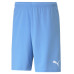 Puma RISE Team Shorts